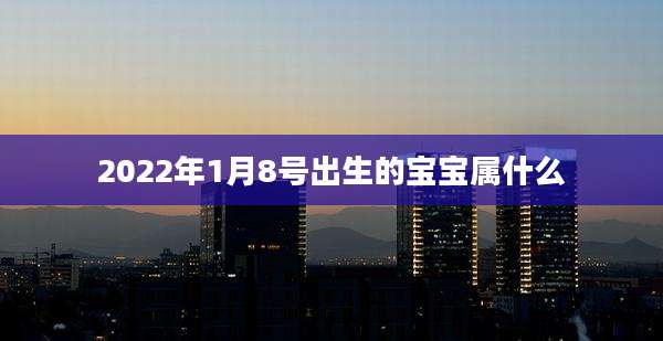 2022年1月8号出生的宝宝属什么