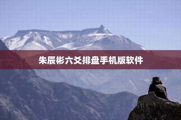 朱辰彬六爻排盘手机版软件
