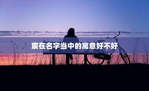 宸在名字当中的寓意好不好