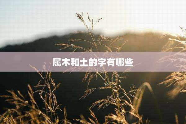 属木和土的字有哪些
