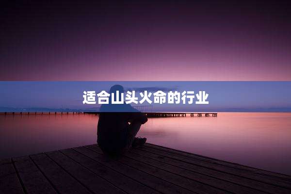 适合山头火命的行业