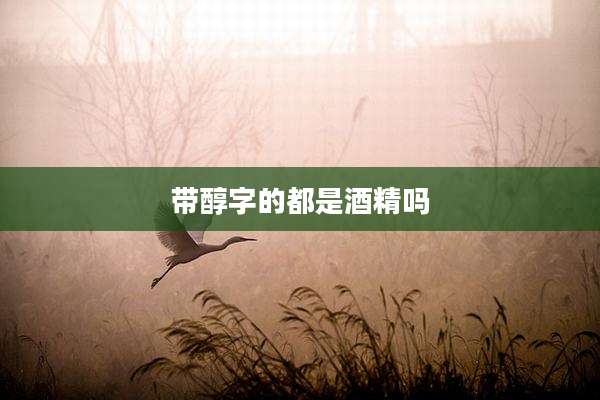 带醇字的都是酒精吗