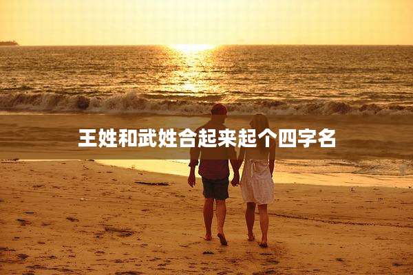 王姓和武姓合起来起个四字名
