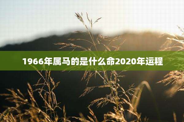 1966年属马的是什么命2020年运程