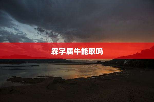 霖字属牛能取吗