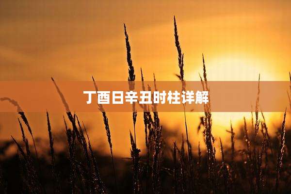 丁酉日辛丑时柱详解