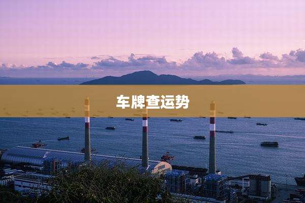 车牌查运势