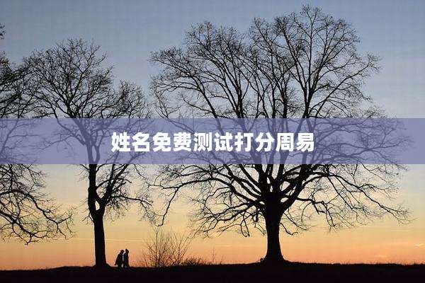 姓名免费测试打分周易