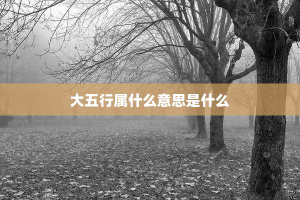 大五行属什么意思是什么