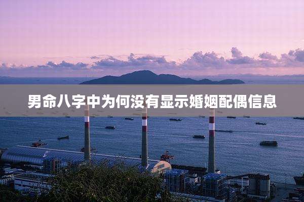 男命八字中为何没有显示婚姻配偶信息