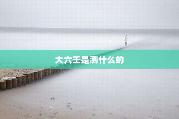 大六壬是测什么的