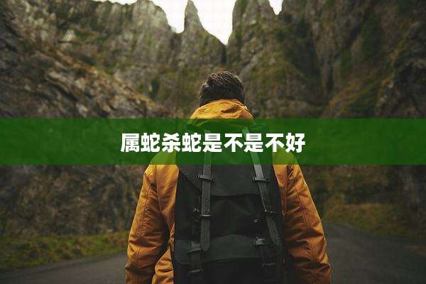 属蛇杀蛇是不是不好