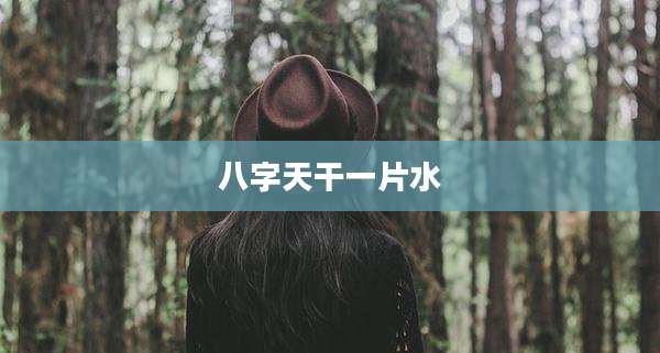 八字天干一片水