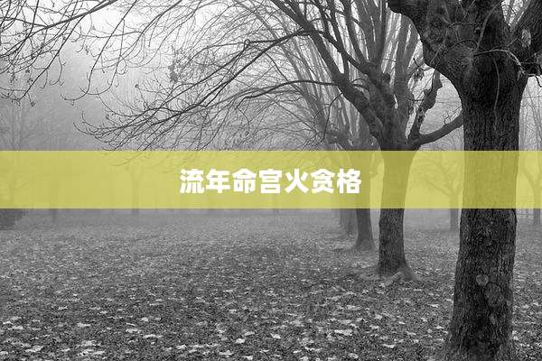 流年命宫火贪格