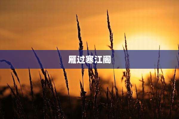 雁过寒江阁