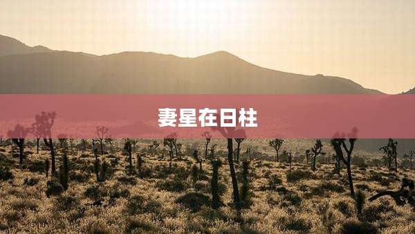 妻星在日柱