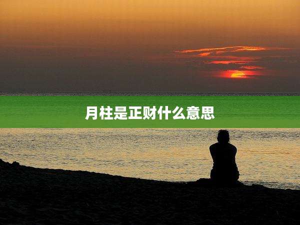 月柱是正财什么意思