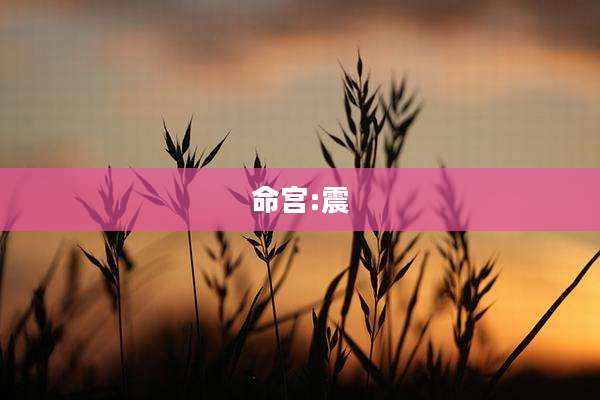 命宫:震
