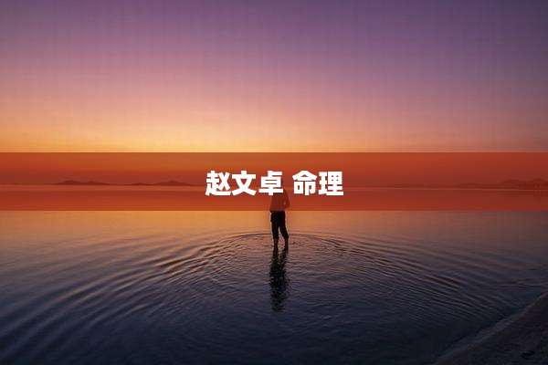 赵文卓 命理