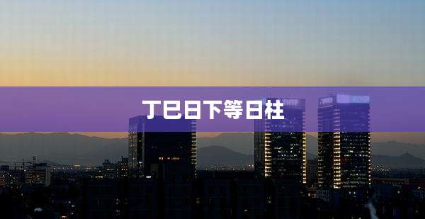 丁巳日下等日柱