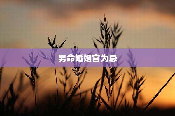 男命婚姻宫为忌