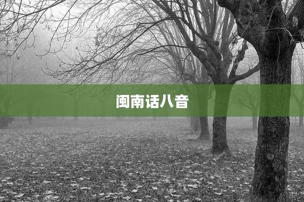 闽南话八音