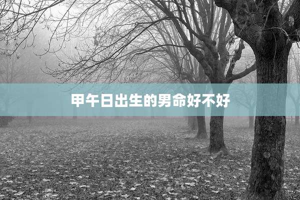 甲午日出生的男命好不好