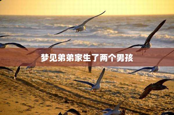 梦见弟弟家生了两个男孩