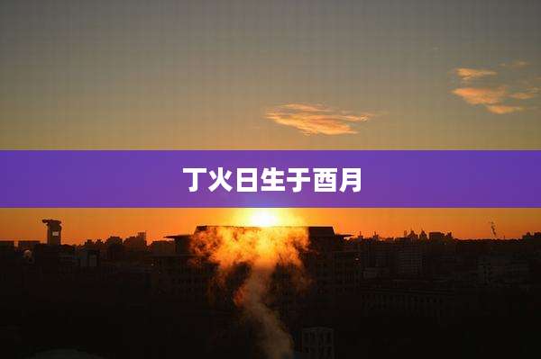 丁火日生于酉月
