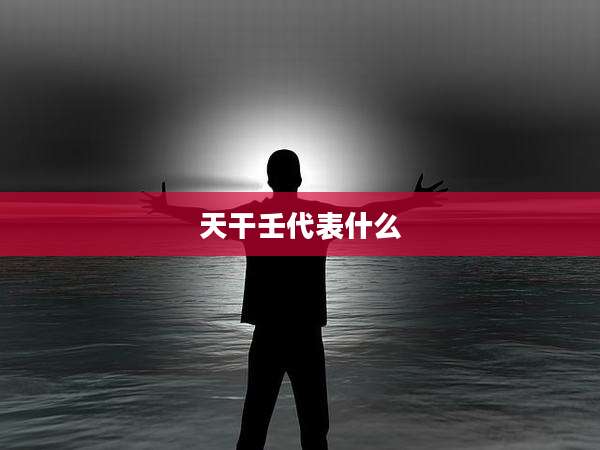天干壬代表什么
