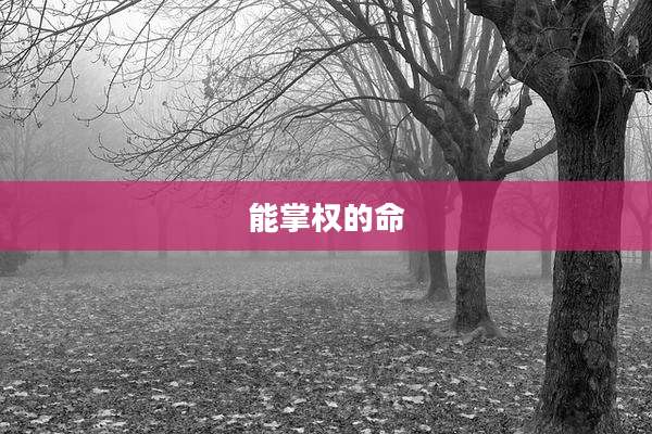 能掌权的命