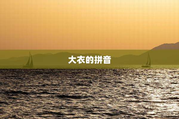 大衣的拼音