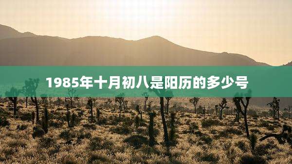 1985年十月初八是阳历的多少号