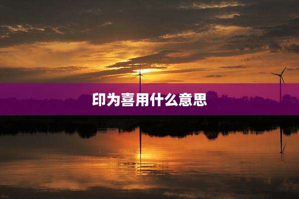 印为喜用什么意思