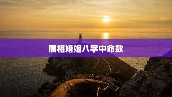 属相婚姻八字中命数