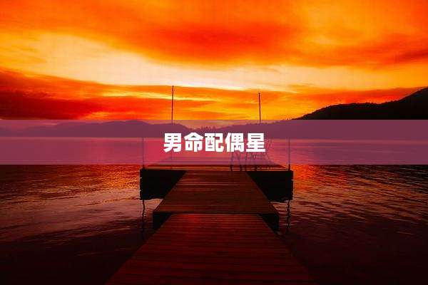男命配偶星