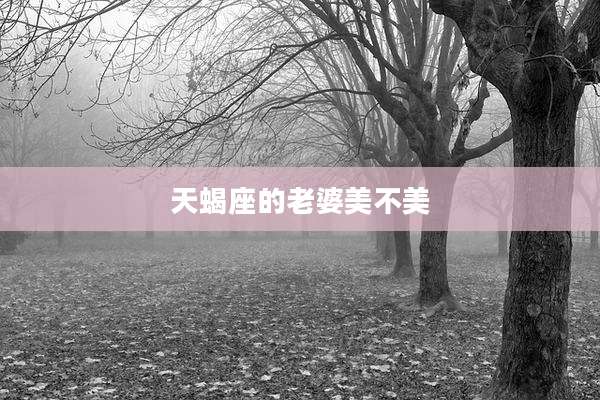 天蝎座的老婆美不美