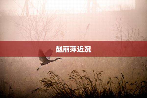 赵丽萍近况