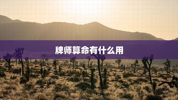 牌师算命有什么用