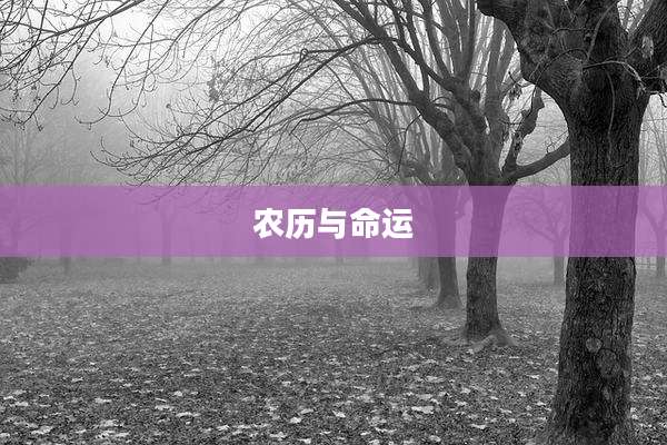农历与命运