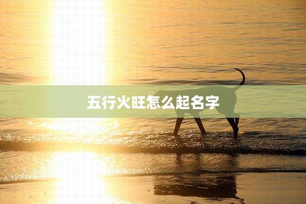 五行火旺怎么起名字