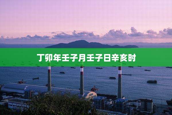 丁卯年壬子月壬子日辛亥时