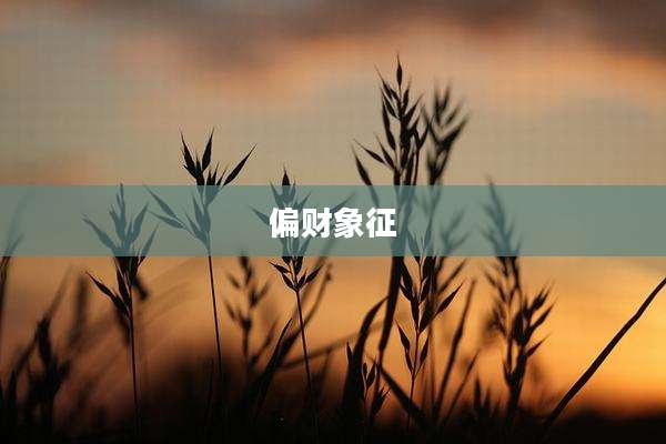 偏财象征