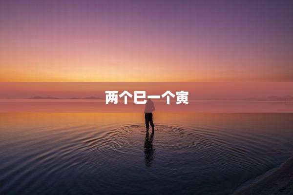 两个巳一个寅