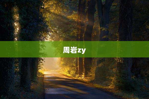 周岩zy