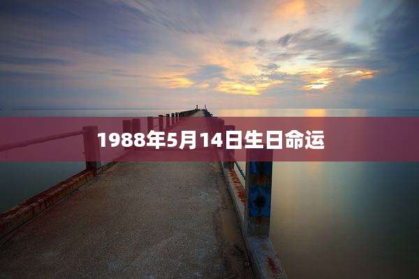 1988年5月14日生日命运