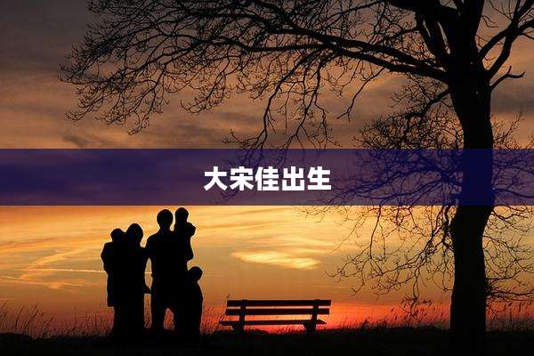 大宋佳出生