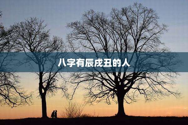 八字有辰戌丑的人