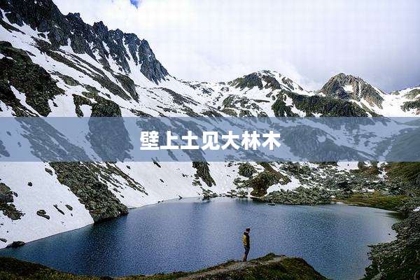 壁上土见大林木