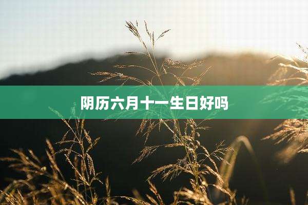 阴历六月十一生日好吗